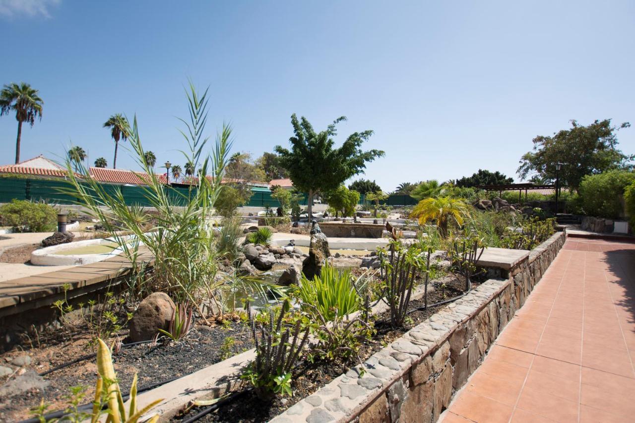 Serenity Garden Maspalomas  Esterno foto