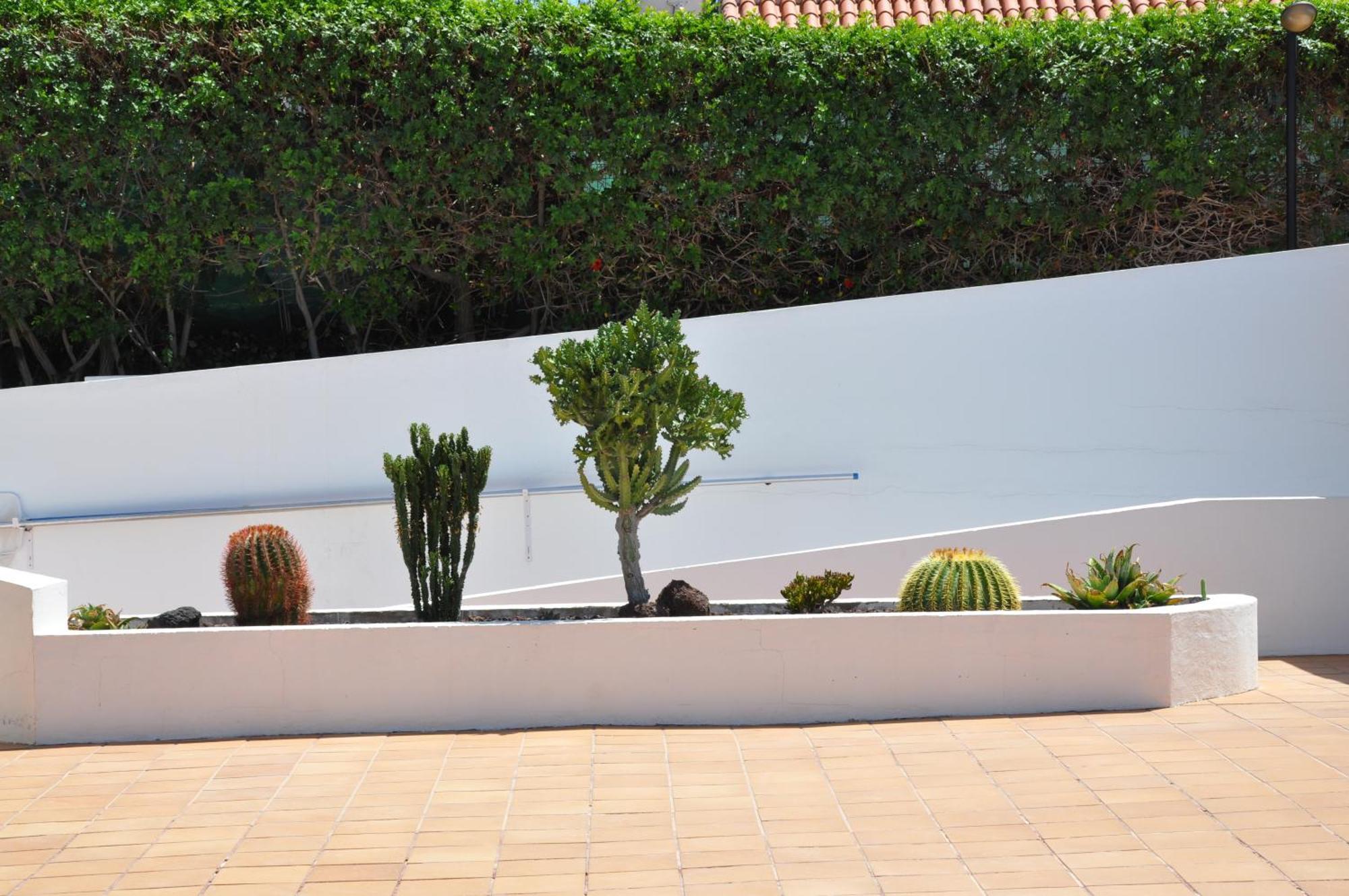 Serenity Garden Maspalomas  Esterno foto