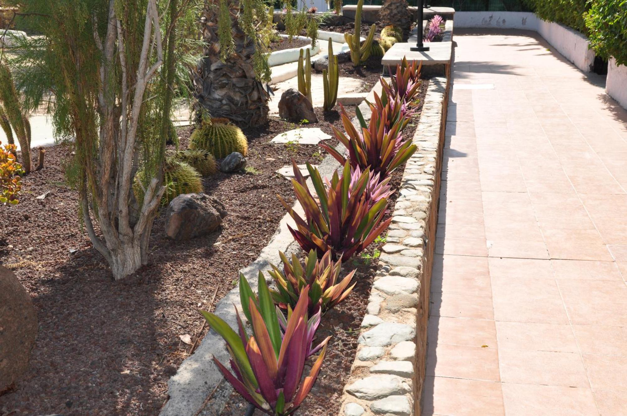 Serenity Garden Maspalomas  Esterno foto