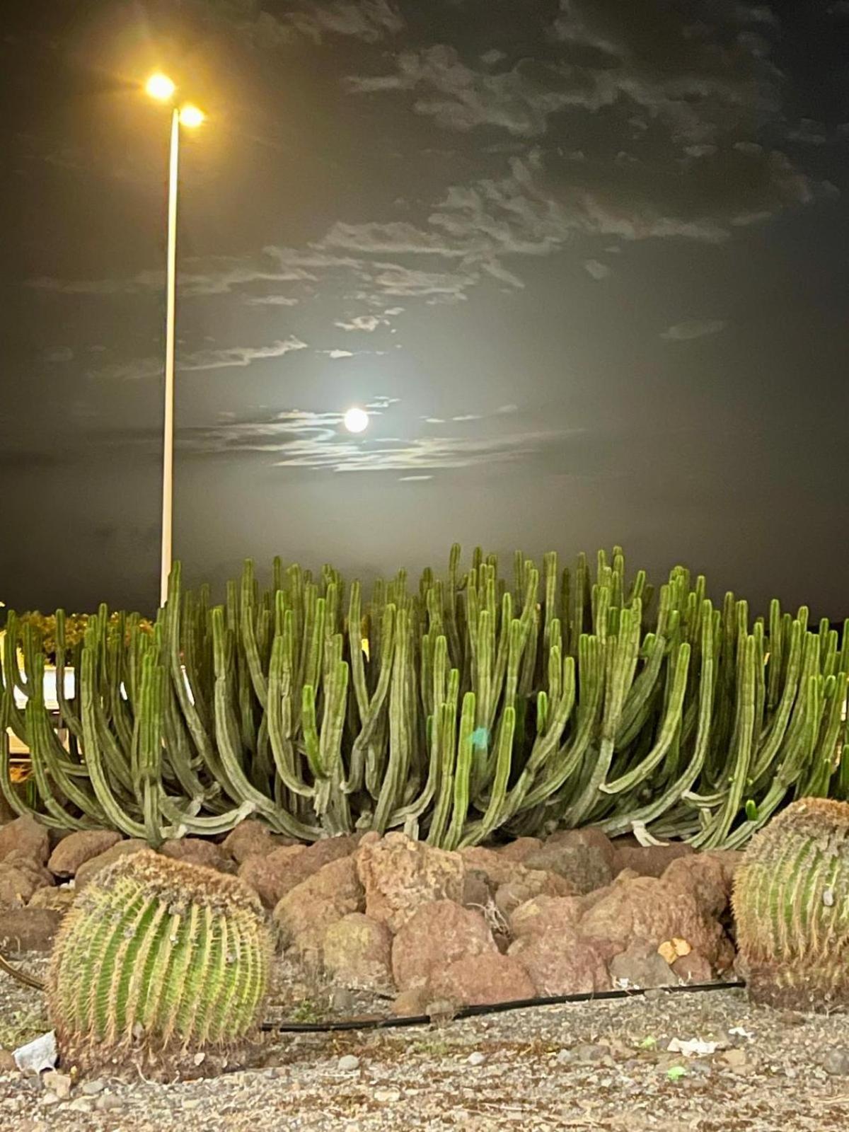 Serenity Garden Maspalomas  Esterno foto
